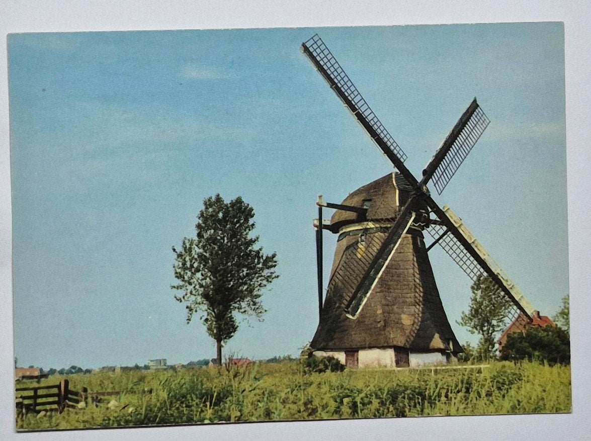 Hazerswoude Rijndijk ( Z.H. ) Rijnenburgermolen, Verzenden, 1960 tot 1980, Ongelopen, Zuid-Holland