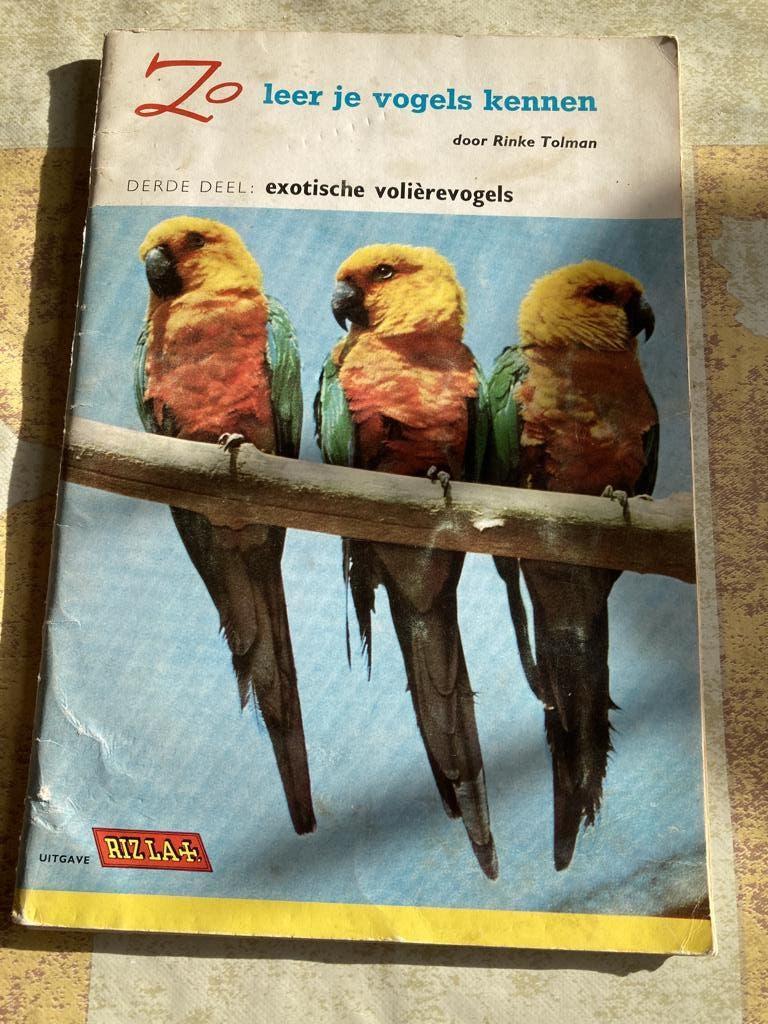 Zo leer je vogels kennen Rizla album, Boeken, Prentenboeken en Plaatjesalbums, Ophalen of Verzenden, Gelezen, Plaatjesalbum