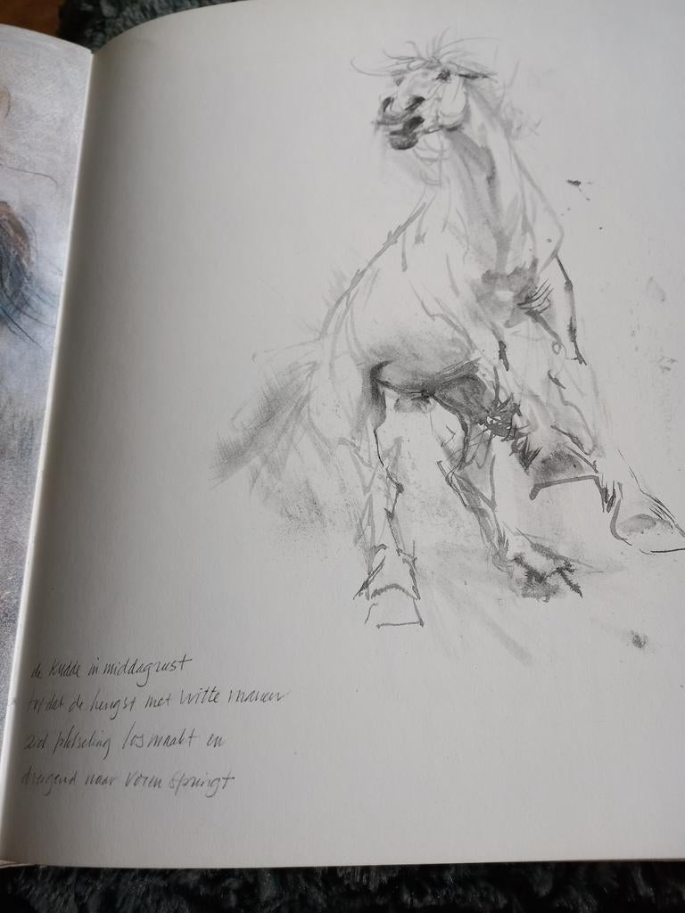 Piet Klaasse tekent Paarden - Kunstboek, Boeken, Ophalen, Zo goed als nieuw, Piet Klaasse