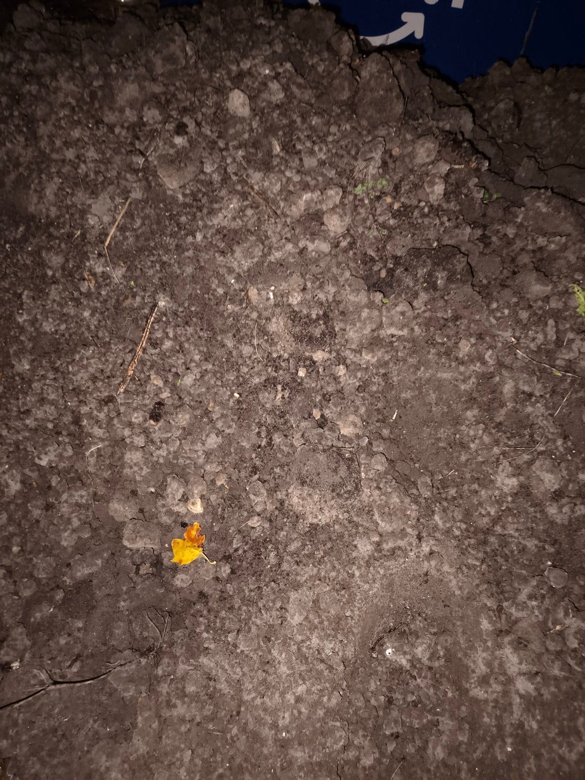 Gratis Grond aarde - Ideaal voor Tuin of Bouw, Ophalen of Verzenden, Gebruikt, Ophoogzand