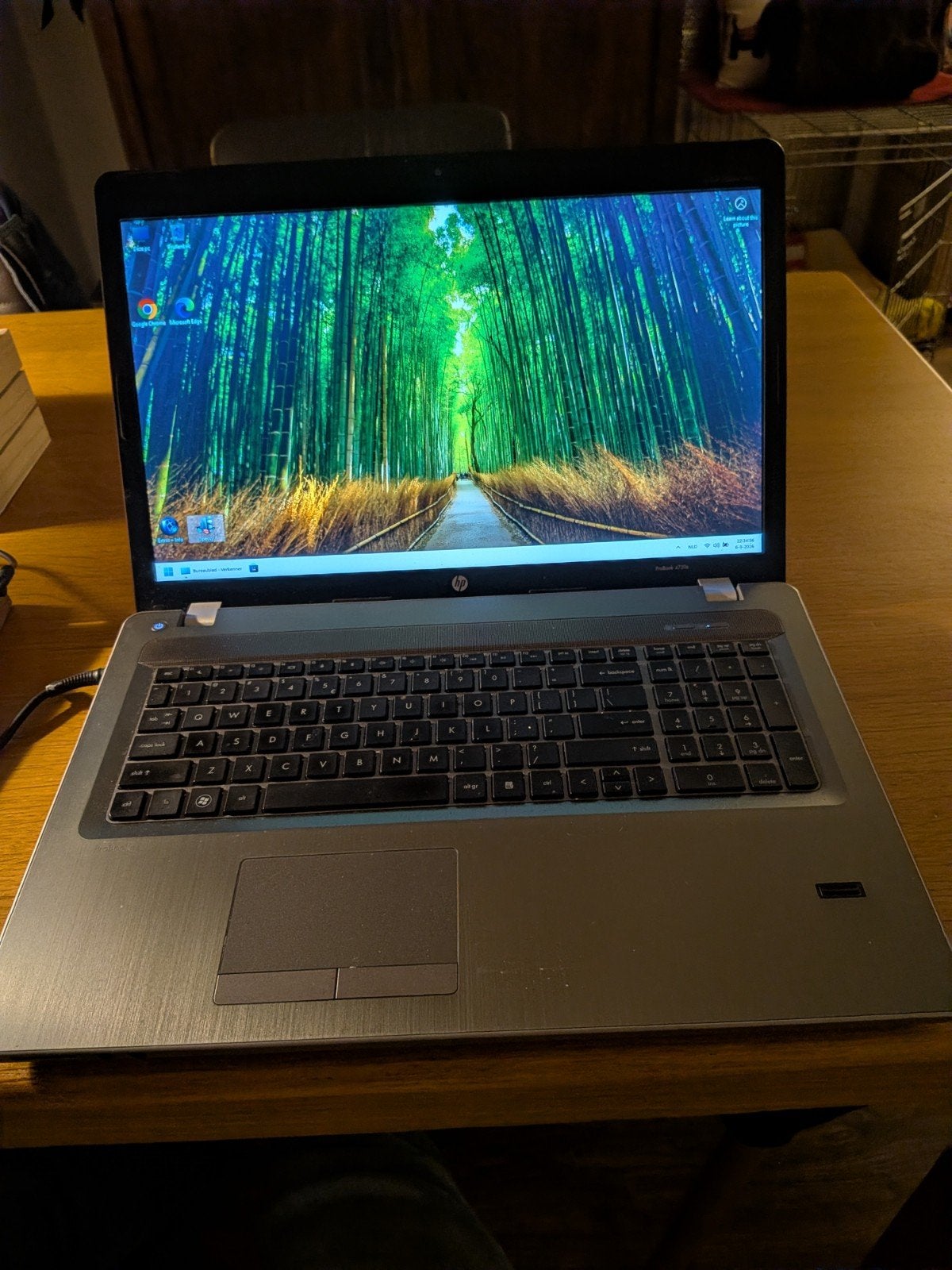 HP ProBook 17 inch laptop met goede accu, SSD, Computers en Software, Windows Laptops, Ophalen, Gebruikt, Met videokaart, 2 tot 3 Ghz