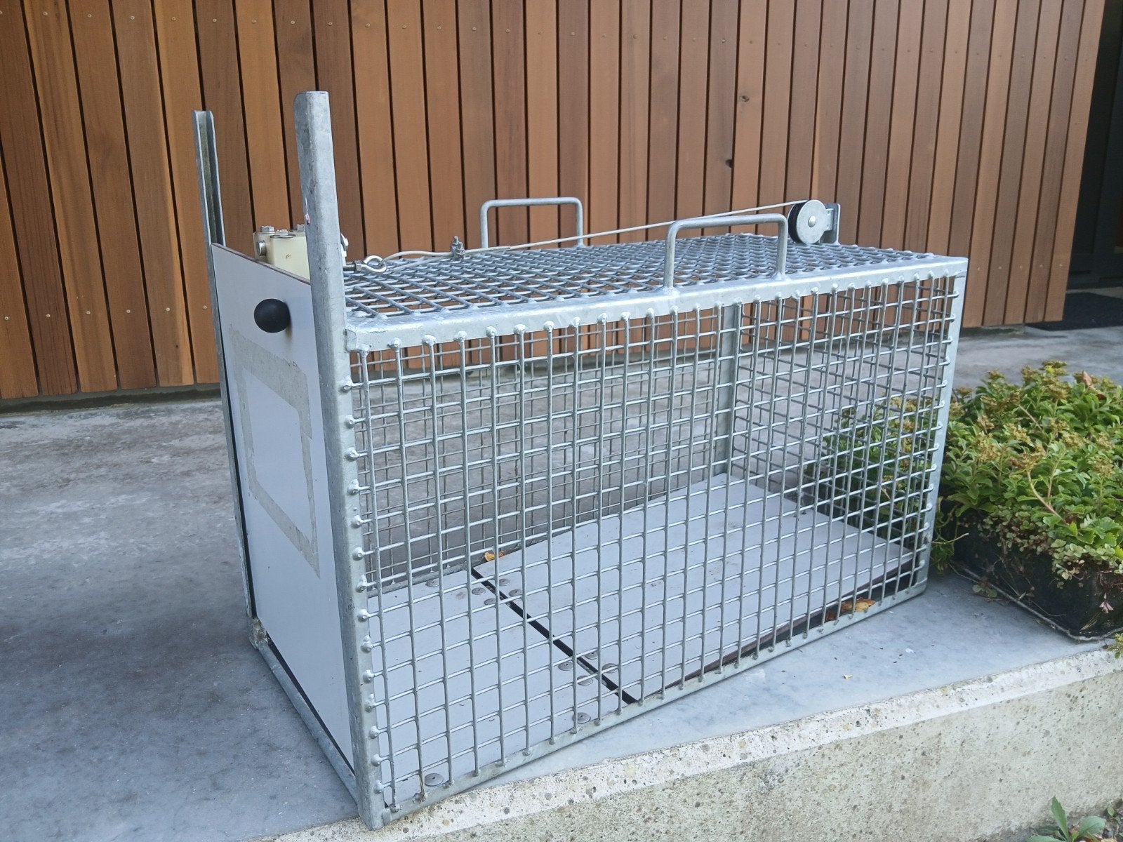 zware professionele vangkooi levendvanger 70cm, Ophalen of Verzenden, Zo goed als nieuw
