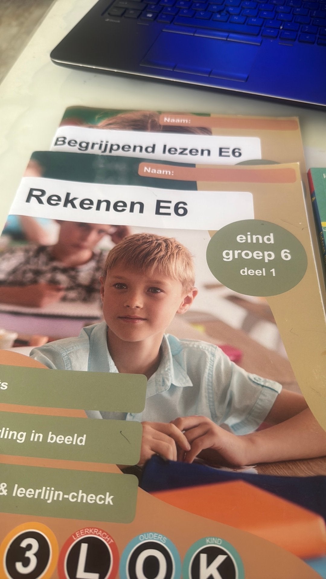 Cito groep 6 boeken en groep 7, Ophalen of Verzenden, Zo goed als nieuw, Overige niveaus, Nederlands