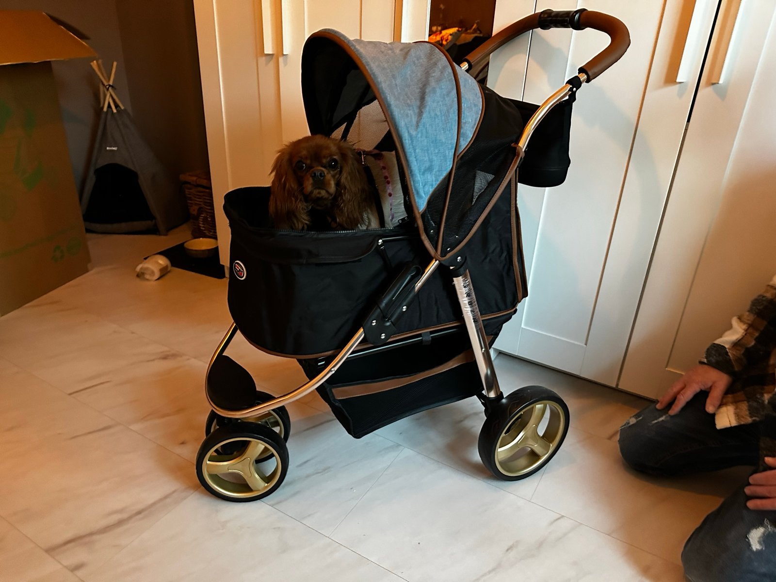 InnoPet Urban Gold Hondenbuggy, Dieren en Toebehoren, Honden-accessoires, Ophalen, Zo goed als nieuw