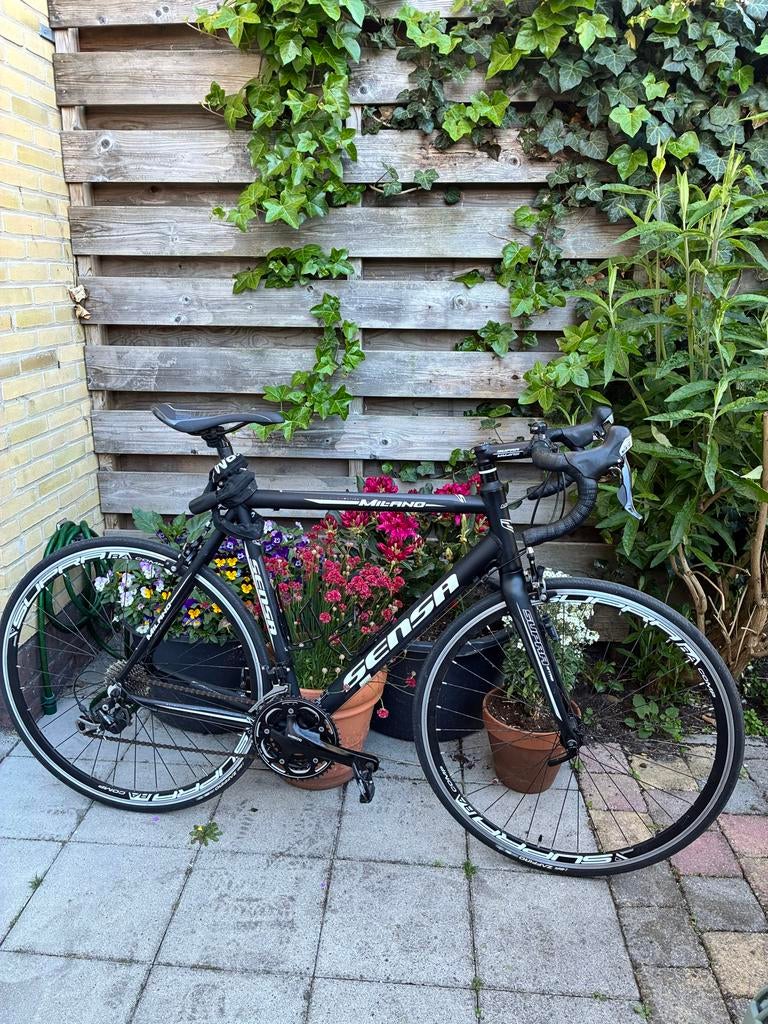 Sensa racefiets - Milano, Fietsen en Brommers, Ophalen of Verzenden, Zo goed als nieuw