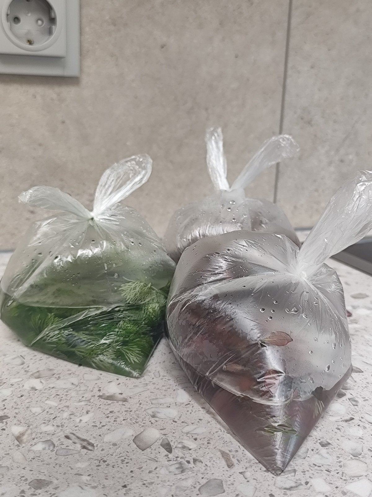 Trimbeurt Aquarium; drie zakjes, Ophalen, Plant(en), Steen of Hout