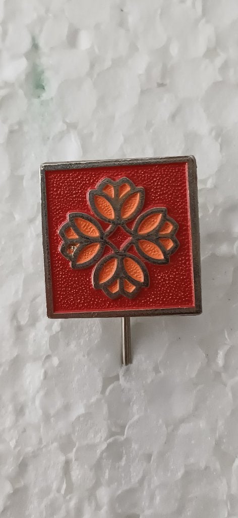 speldje onbekend, Verzamelen, Speldjes, Pins en Buttons, Ophalen of Verzenden, Zo goed als nieuw, Overige onderwerpen