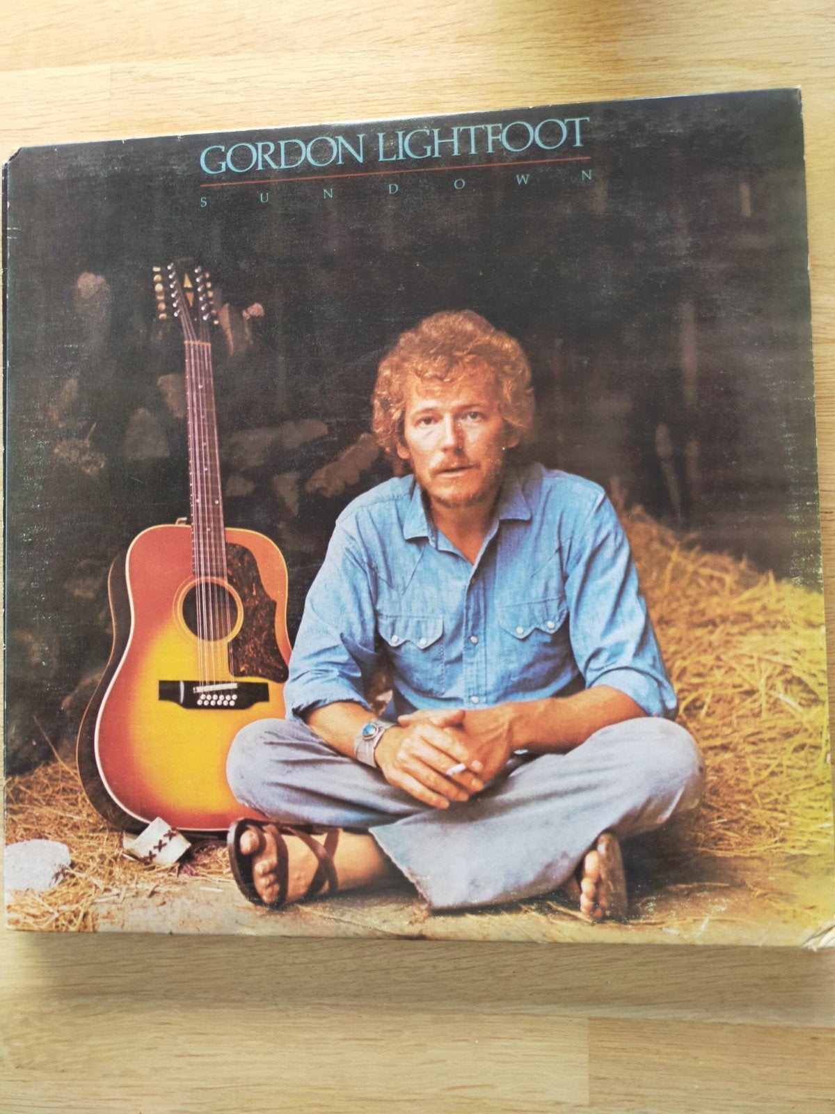 Gordon Lightfoot , sundown, Cd's en Dvd's, Ophalen of Verzenden, Zo goed als nieuw, 12 inch, Poprock