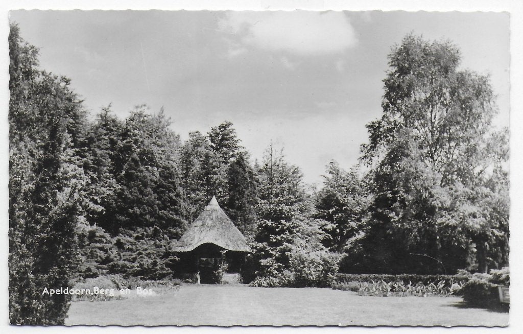 Apeldoorn Berg en Bos oude ongelopen ansichtkaart (2084 ), Ophalen of Verzenden, 1960 tot 1980, Gelopen, Gelderland