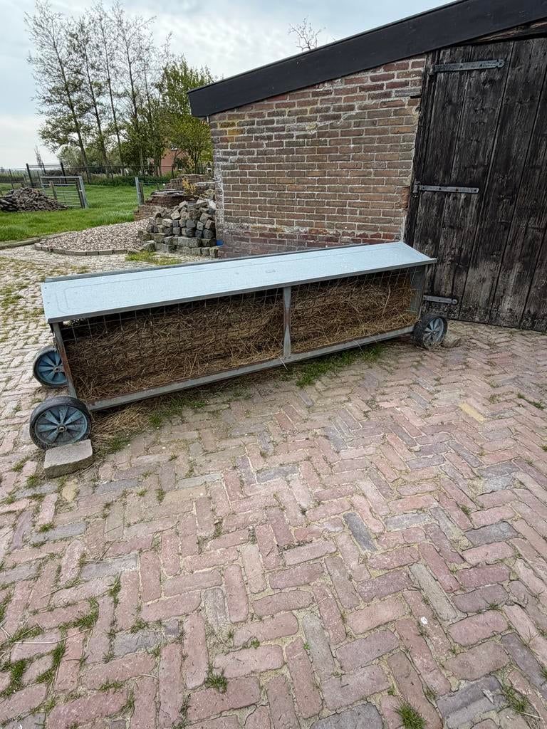 Hooiruif, Dieren en Toebehoren, Schapen, Geiten en Varkens, Meerdere dieren