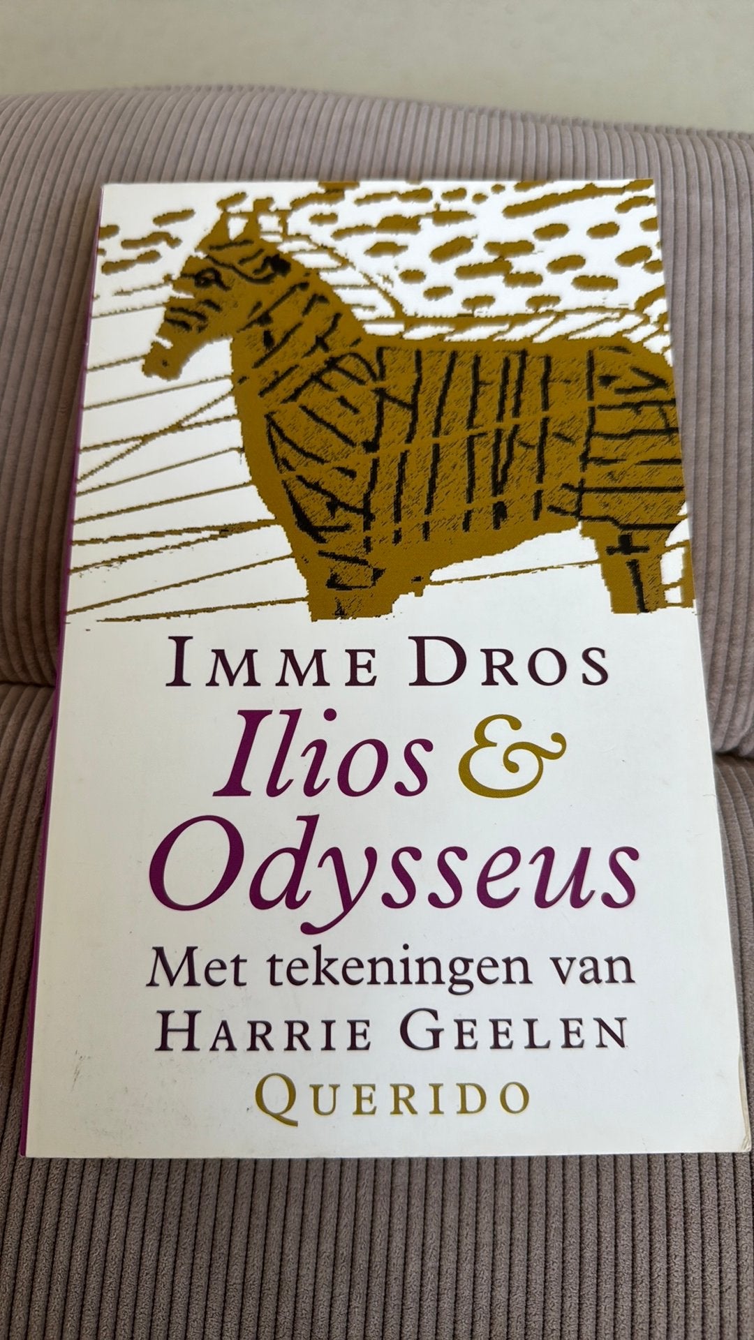Imme Dros - Ilios & Odysseus, Fictie algemeen, Imme Dros, Ophalen of Verzenden, Zo goed als nieuw