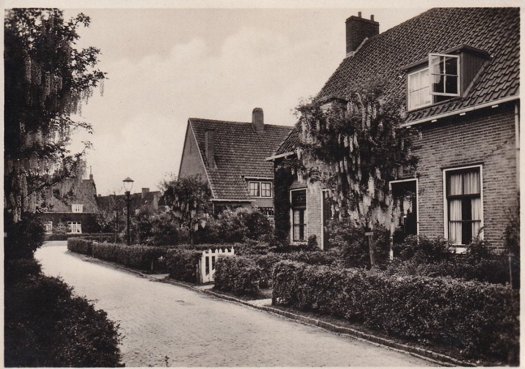 747D Rotterdam Tuindorp Vreewijk Boogjes, Ophalen, 1920 tot 1940, Ongelopen, Zuid-Holland