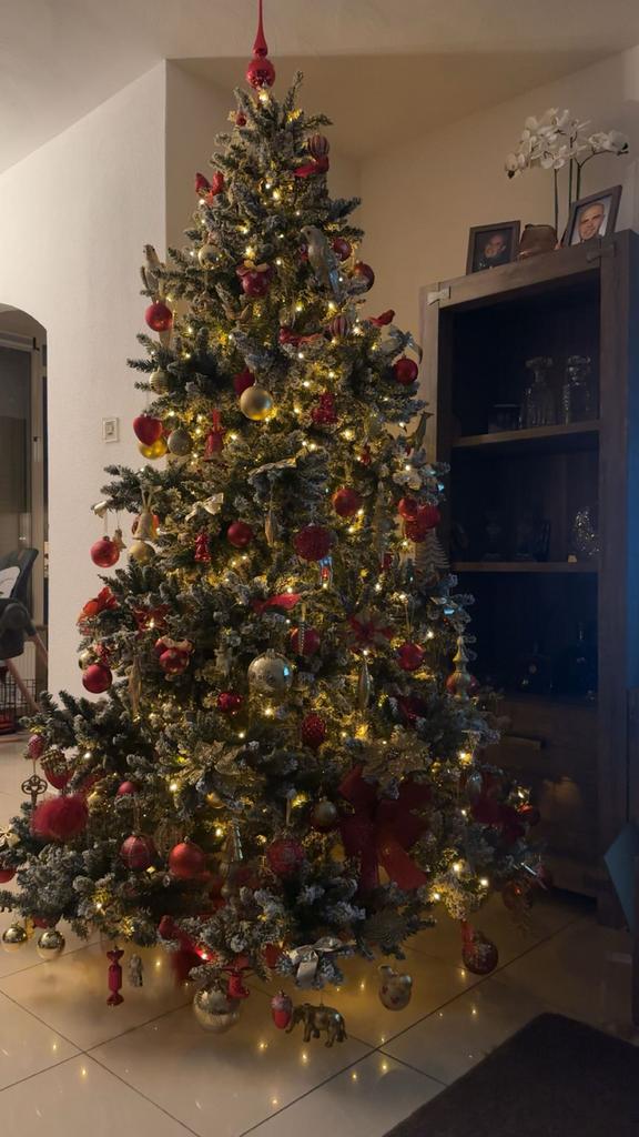 Mooie kerstboom, Diversen, Kerst, Ophalen, Nieuw