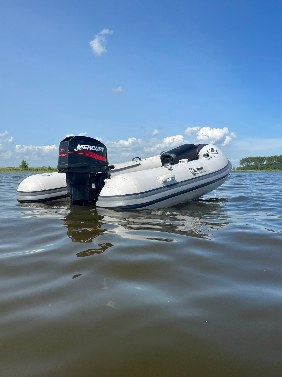 Foto 4 van Talamex 290 alu met 25 pk Mercury