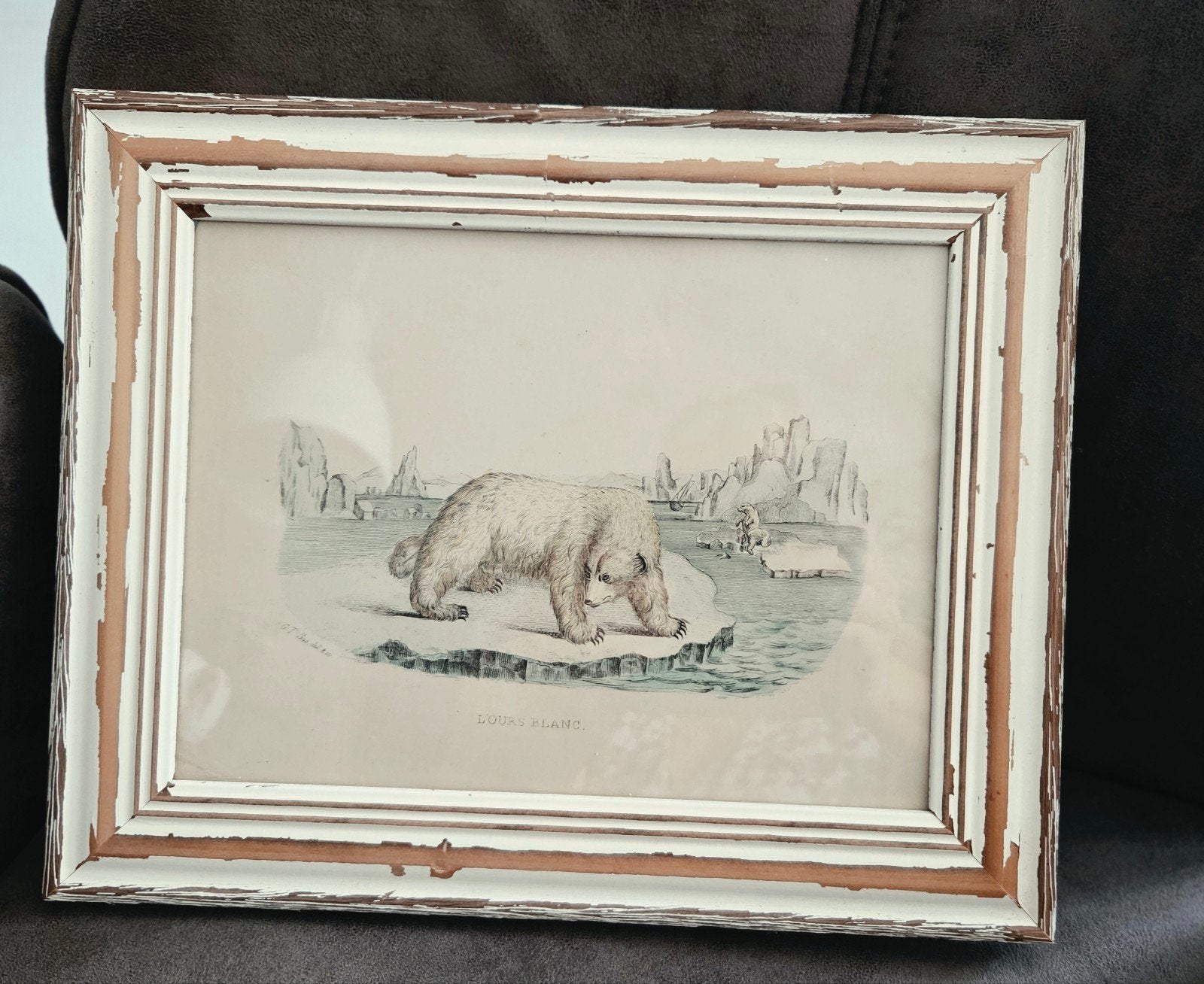 Franse ingekleurde tekening van ijsberen, gesigneerd, Ophalen of Verzenden