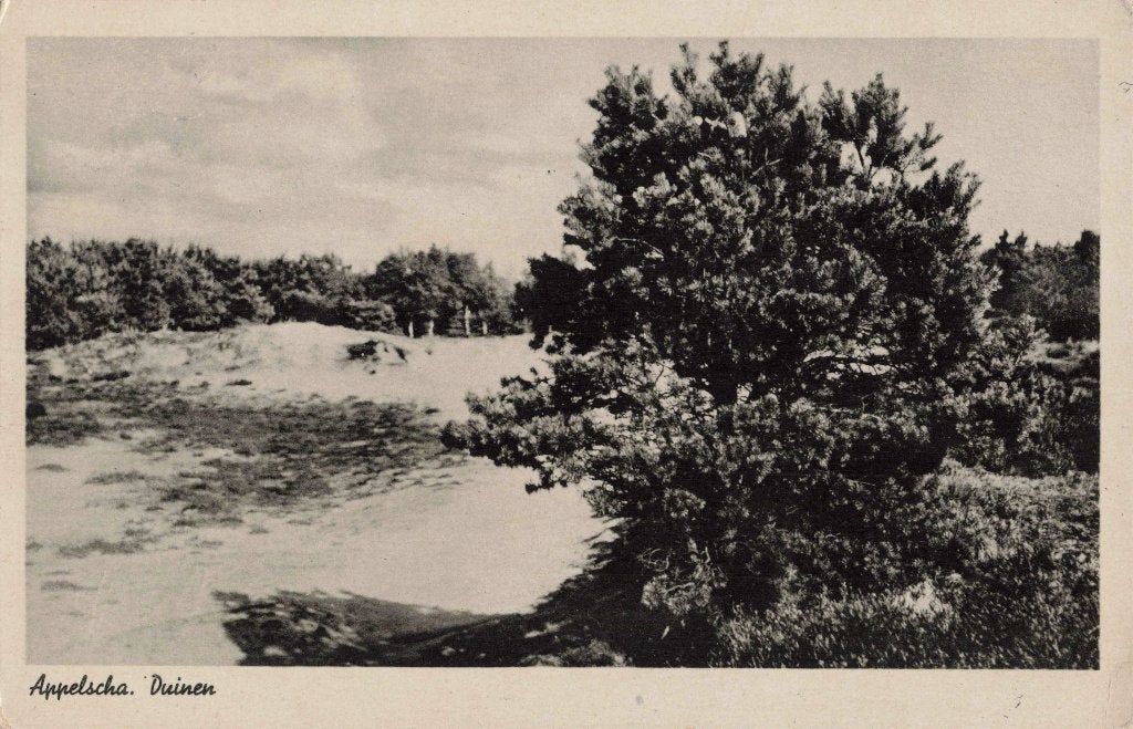 Appelscha Duinen L2821, Ophalen, 1940 tot 1960, Gelopen, Friesland