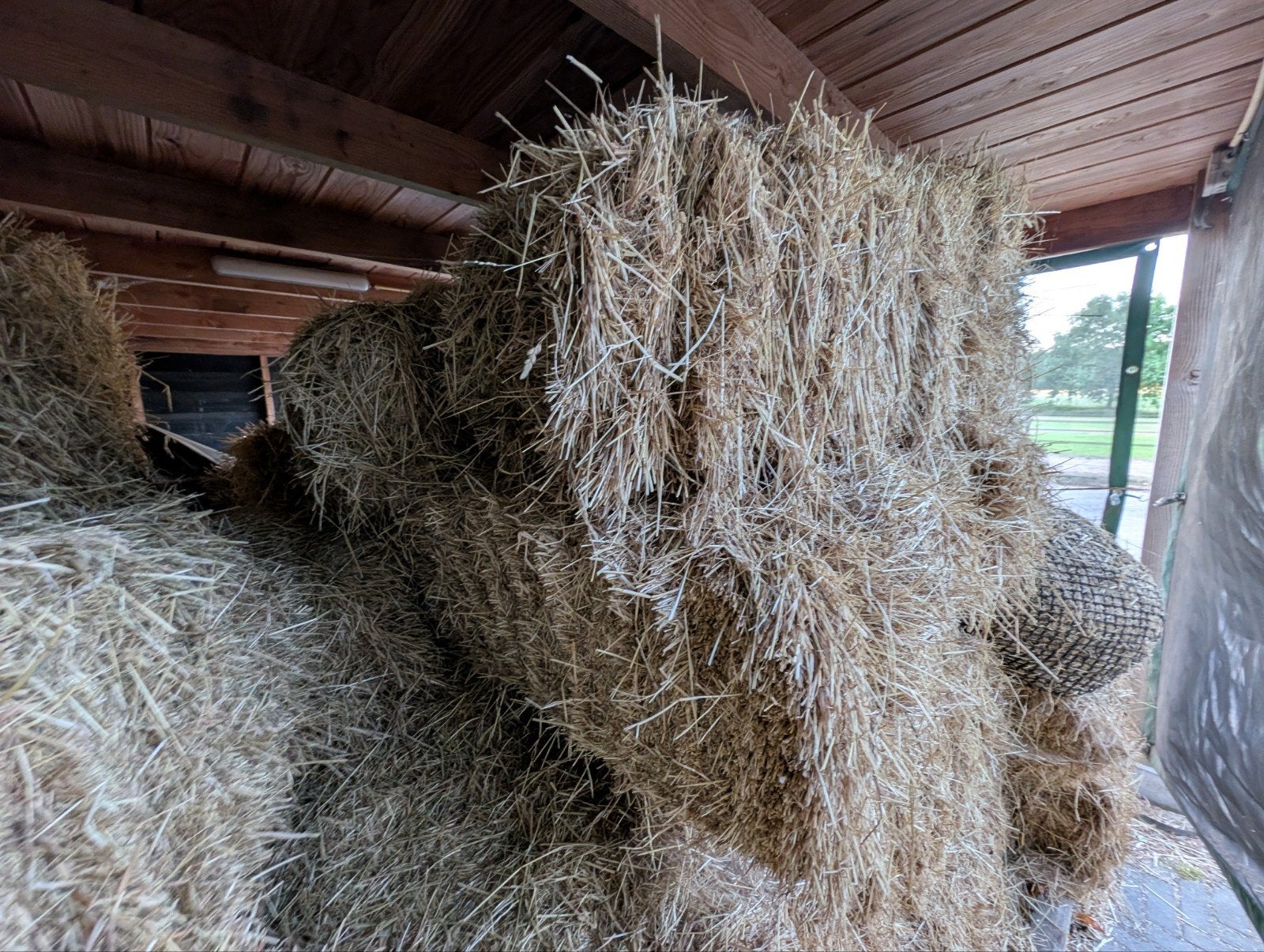 Hooibaaltjes te koop, Ophalen, Vee
