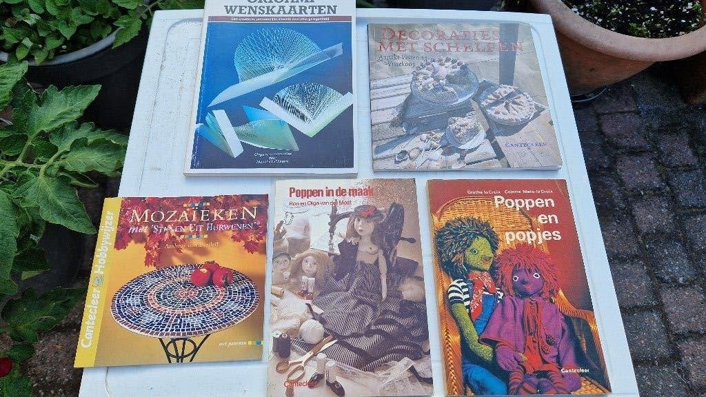 hobby-koken-tuinieren-kinder-stripboeken enz, Ophalen of Verzenden, Zo goed als nieuw