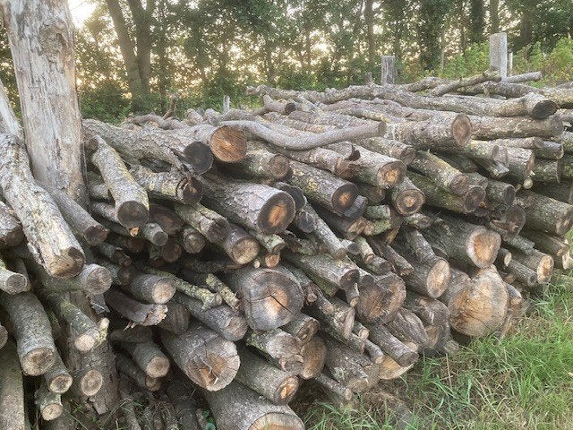 SCHOON KACHELHOUT TE KOOP, Tuin en Terras, 6 m³ of meer, Ophalen, Eikenhout, Stammen