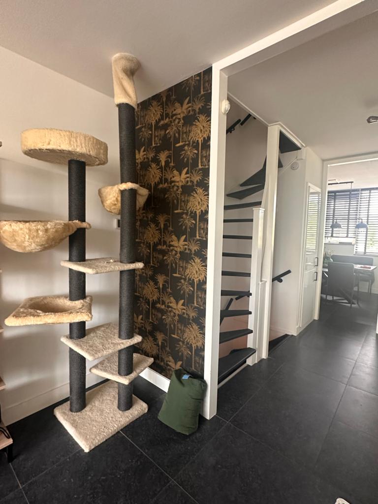 Luxe en Stevige Krabpaal voor Katten – 230 cm Hoog, Dieren en Toebehoren, Ophalen, Zo goed als nieuw
