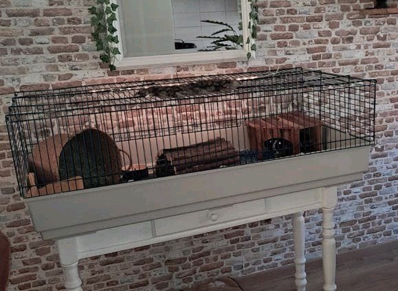 mooie  grote  cavia/konijnen kooi, Dieren en Toebehoren, Kooi, Zo goed als nieuw, 75 tot 110 cm, Cavia