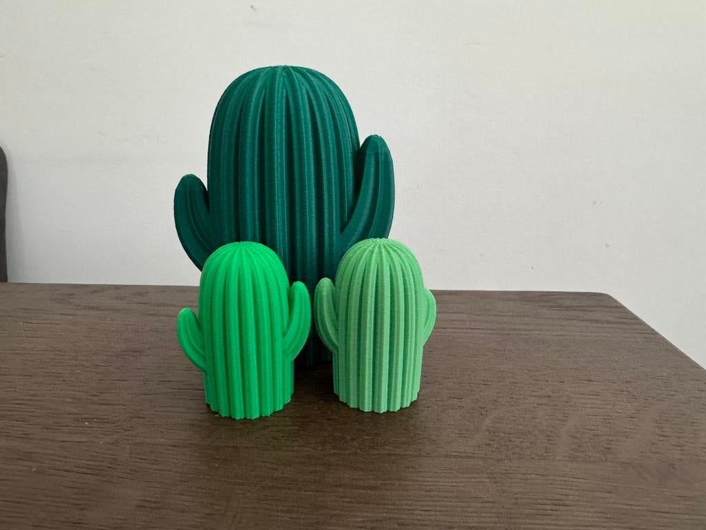 Cactus decoratie, Ophalen of Verzenden, Nieuw, Groen