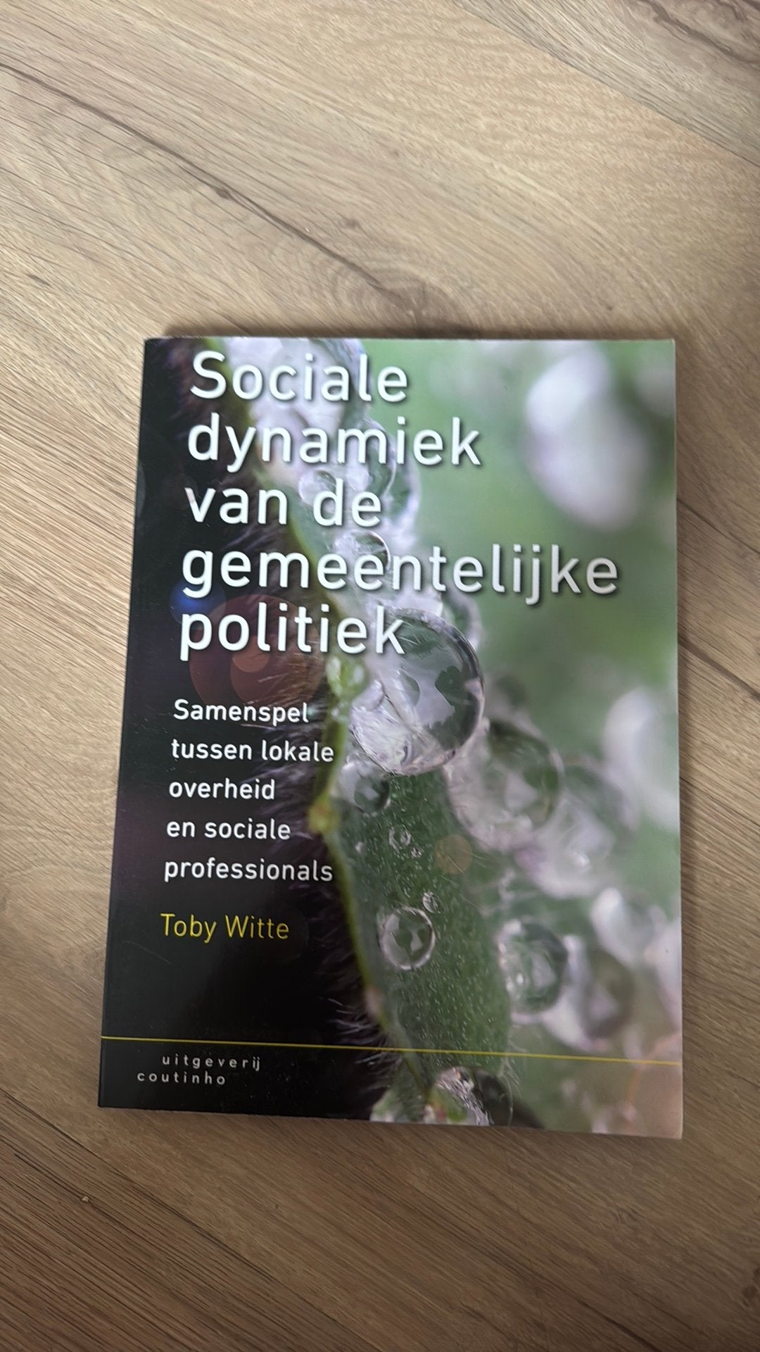 Toby Witte - Sociale dynamiek van de gemeentelijke politiek, Boeken, Sociale wetenschap, Ophalen of Verzenden, Zo goed als nieuw