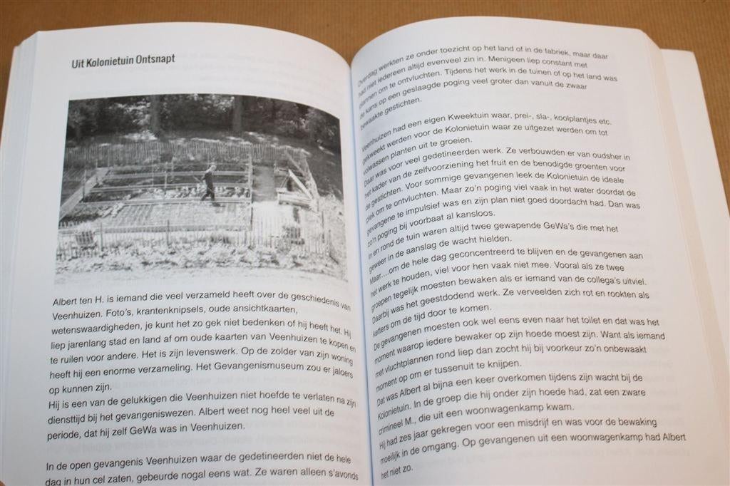 Bajesverhalen Veenhuizen — Gevangenisverhalen Van den Brink, Boeken, Geschiedenis | Stad en Regio, Ophalen of Verzenden, Zo goed als nieuw