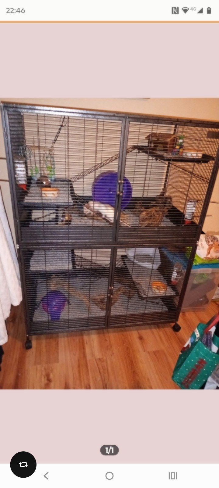 knaagdier kooi, Dieren en Toebehoren, Knaagdieren en Konijnen | Hokken en Kooien, Ophalen, Kooi, 110 cm of meer, Hamster
