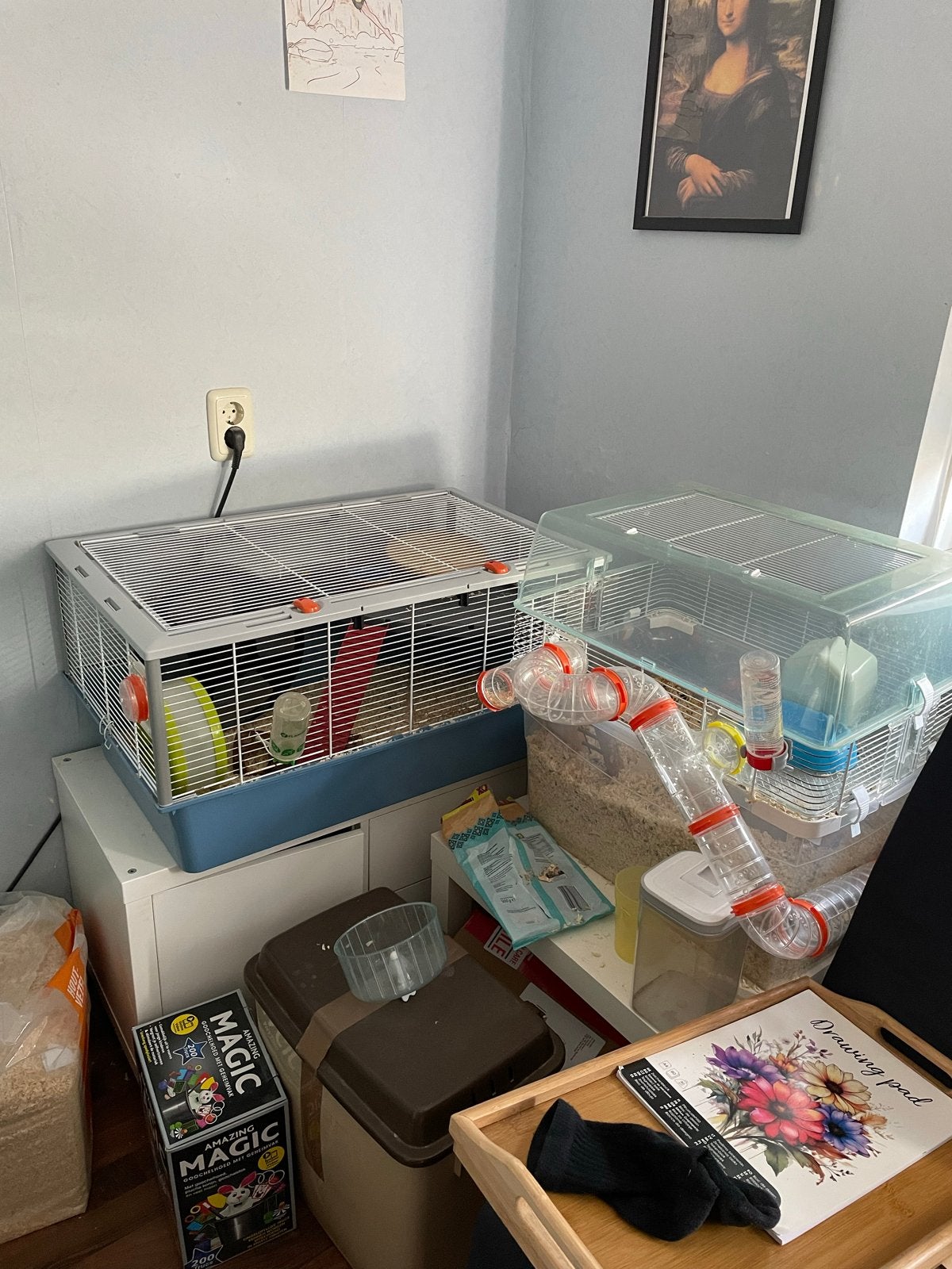 Hamster cage, Ophalen of Verzenden