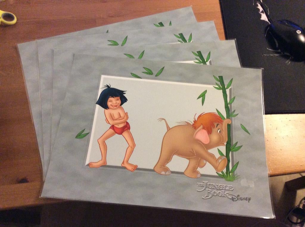 set 4 Placemats Disney Jungle Book of Assepoester 41x30 cm, Ophalen of Verzenden, Nieuw, Bord