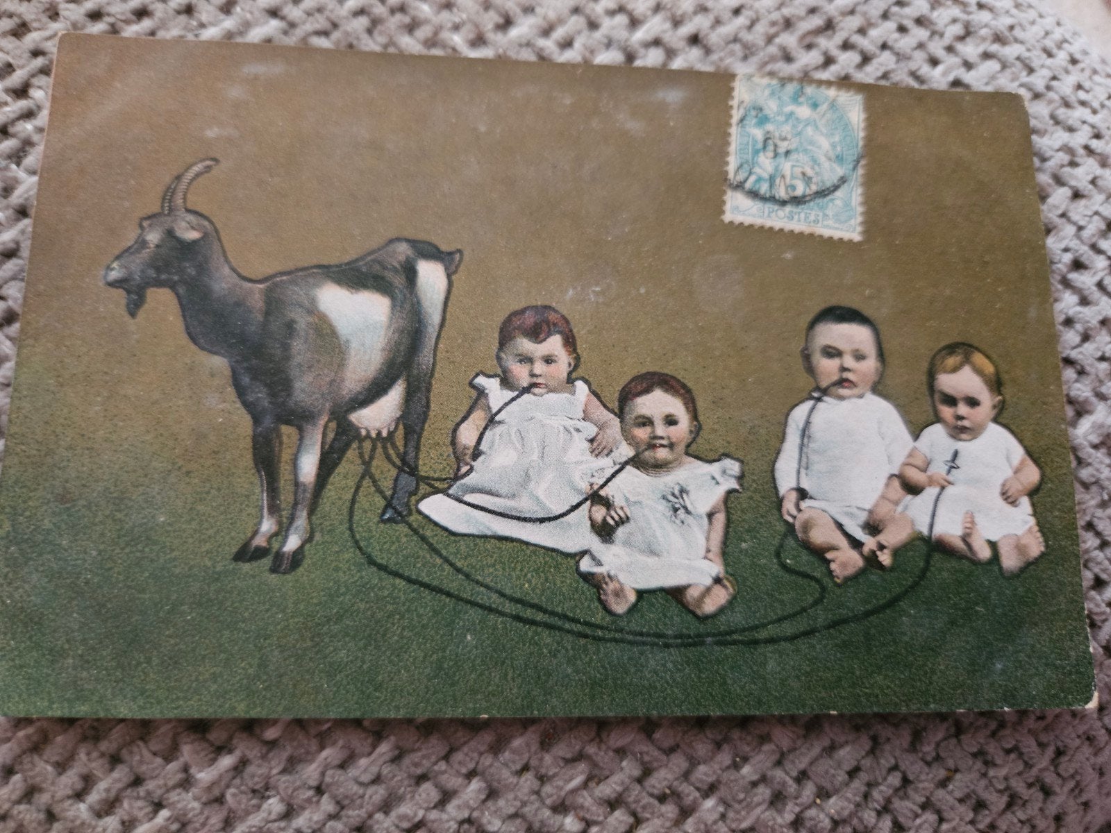 Geit met Baby's, Ophalen of Verzenden