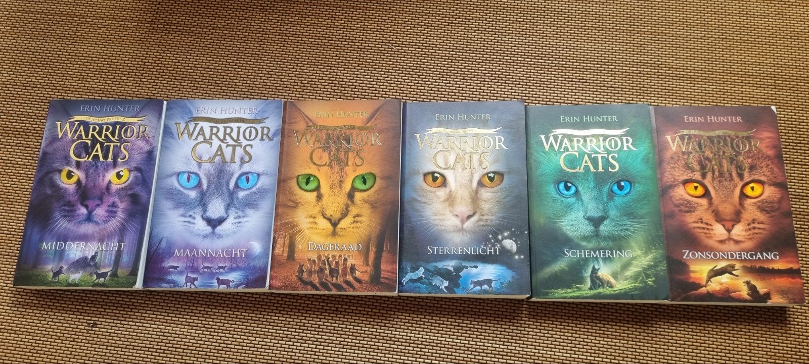 Warrior Cats Serie 2 3  Paperback, Boeken, Ophalen of Verzenden, Zo goed als nieuw, Erin Hunter