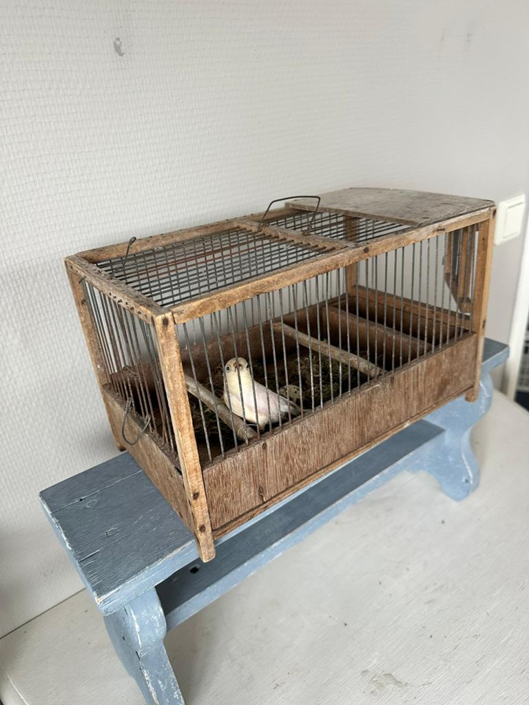 Vogelkooitje, Ophalen of Verzenden