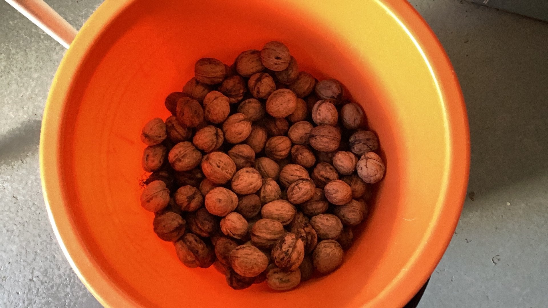 2 kilo verse walnoten.  De laatste., Ophalen of Verzenden
