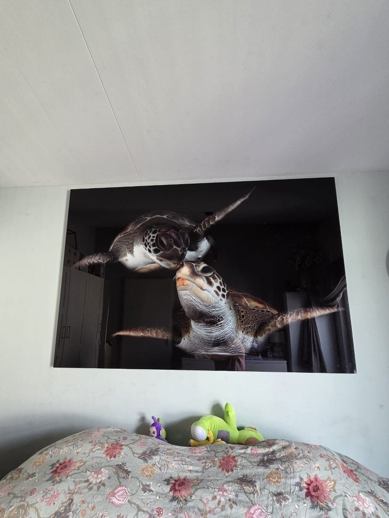 Heel groot schilderij op plexiglas, Huis en Inrichting, Woonaccessoires | Schilderijen, Tekeningen en Foto's, Ophalen, 125 cm of meer