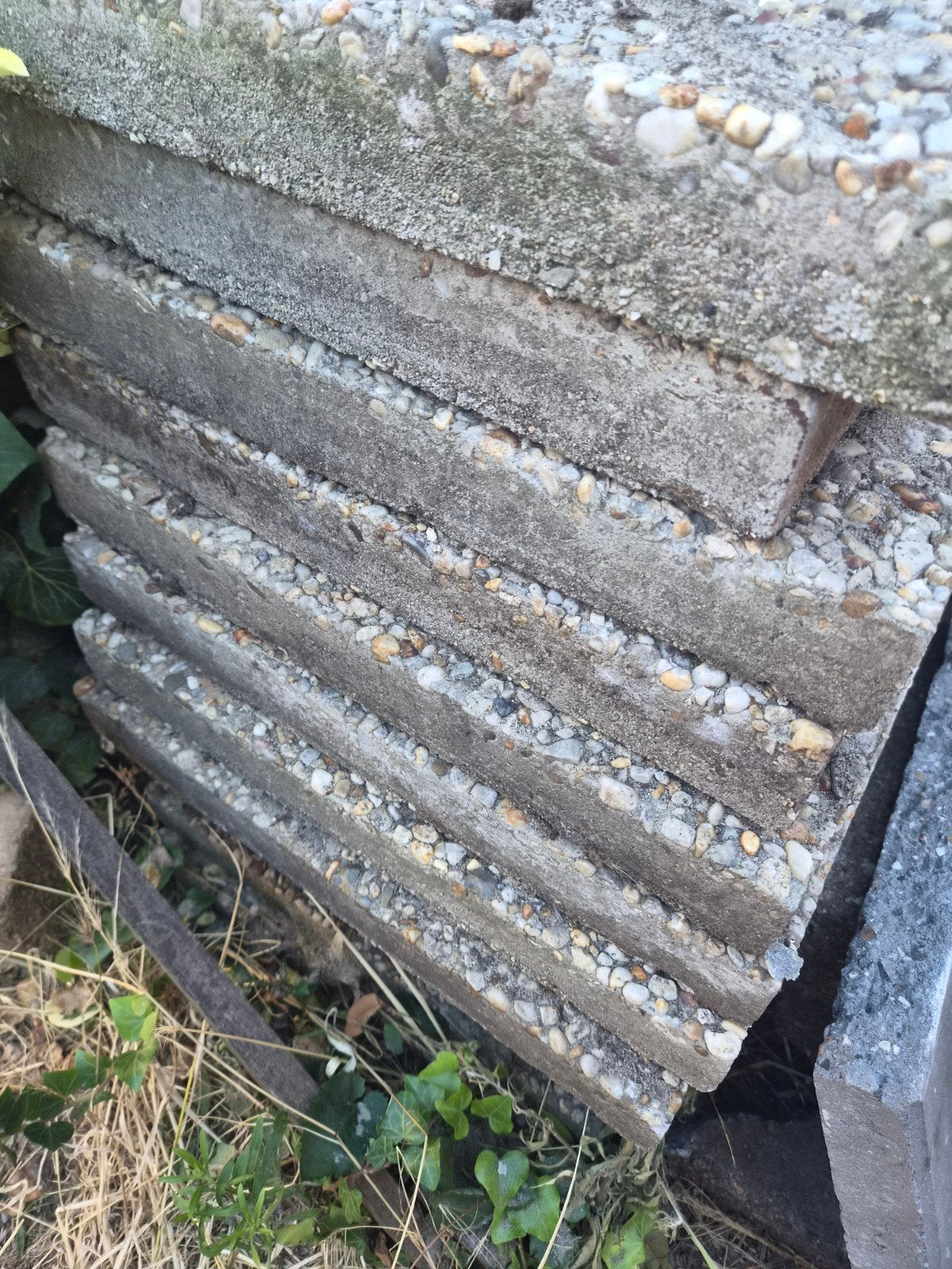 12 beton tegels gratis op te halen Zaandam, Ophalen, Gebruikt, Beton, Terrastegels