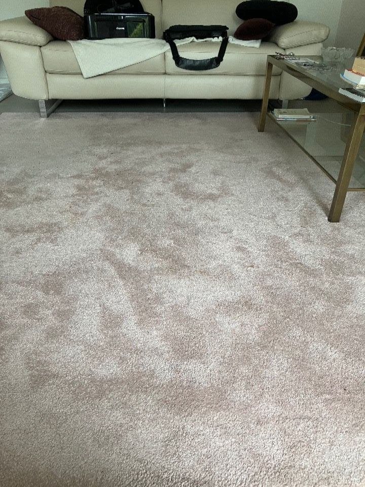 zeer fraai vloerkleed 200x260 cm, Ophalen, Bruin, 200 cm of meer, Zo goed als nieuw