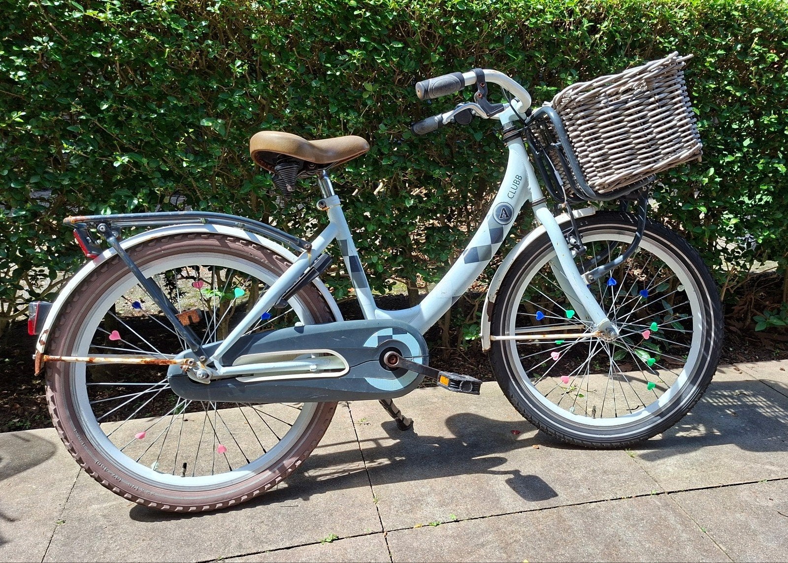 Alpina Clubb 22inch, Ophalen, Gebruikt, Handrem, 22 inch