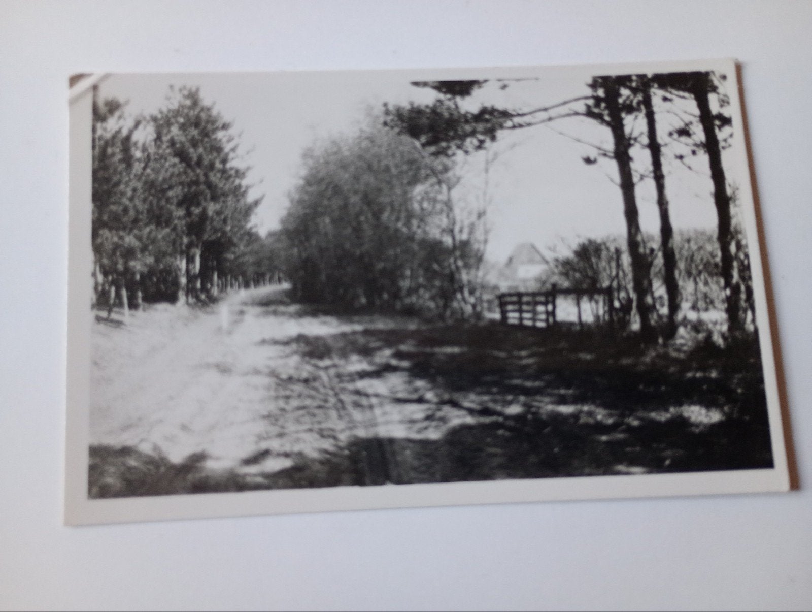 Texel Rozendijk 1950, Ophalen of Verzenden, 1940 tot 1960, Gelopen, Waddeneilanden