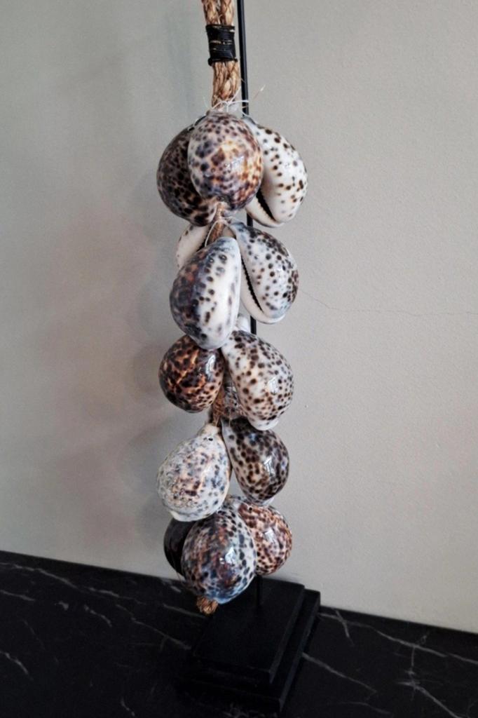 Bruine tijgerschelpen ketting op zwarte stand voet, Nieuw, Ophalen of Verzenden, X, X
