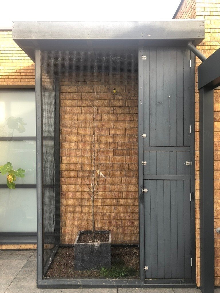 Houten vogelkooi met 2 vogels, Dieren en Toebehoren, Ophalen, Gebruikt, Hout, Vogelkooi