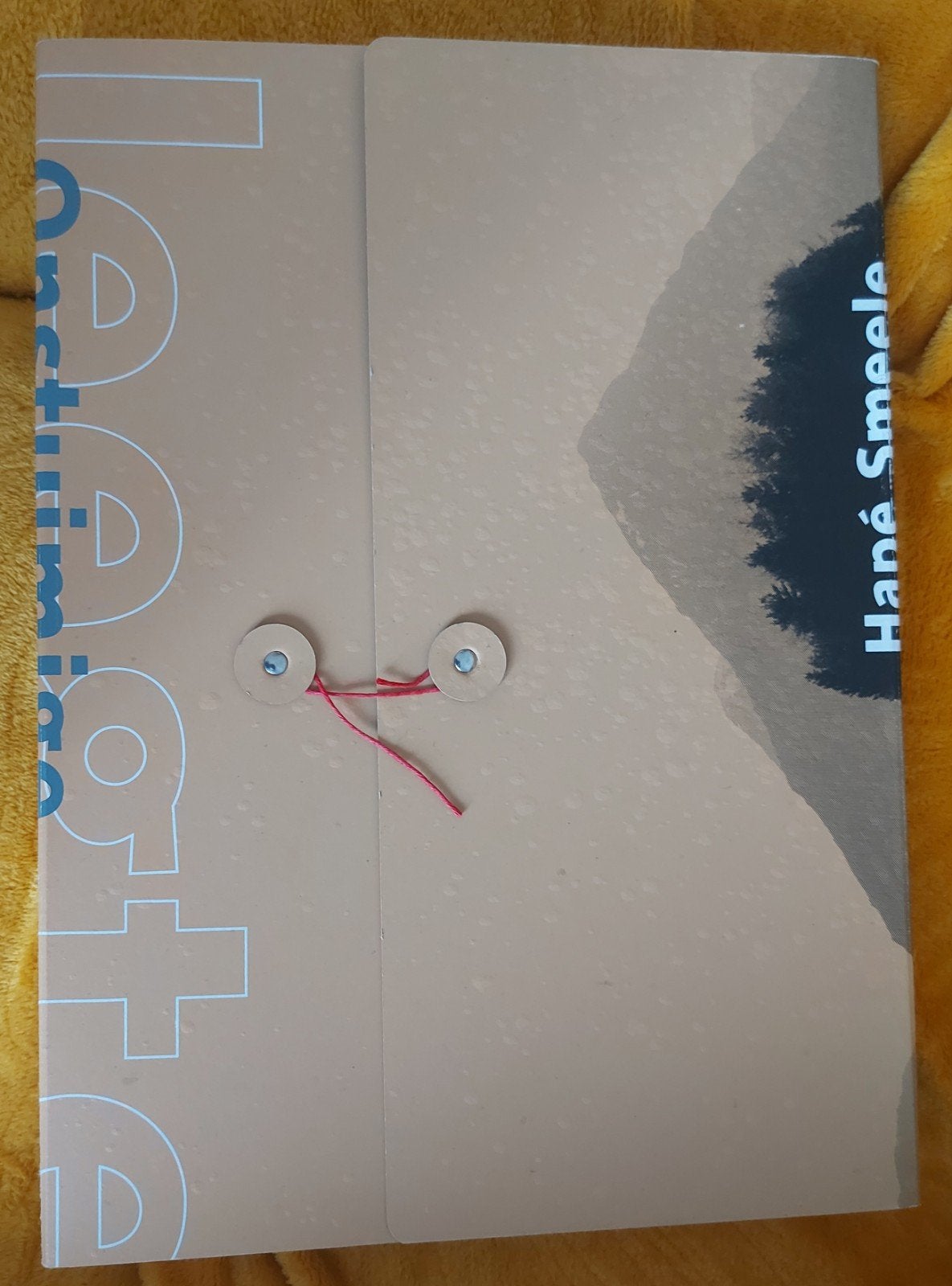 Onstuimige Leegte - Hapé Smeele (Fotoboek), Ophalen of Verzenden, Zo goed als nieuw, Fotografie algemeen, Hapé Smeele