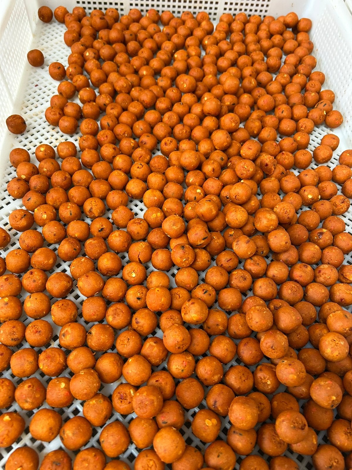 Spicey birdfood orange 🍊🌶️, Ophalen of Verzenden, Nieuw, Overige typen