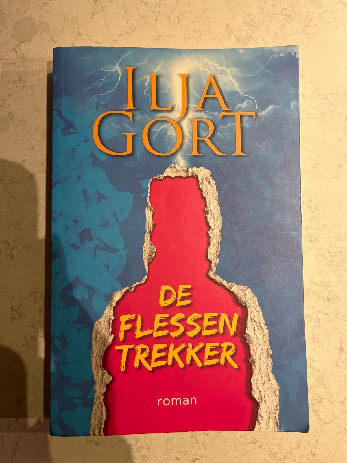 Ilija Gort - De Flessentrekker (roman), Ophalen of Verzenden, Gelezen, Nederland