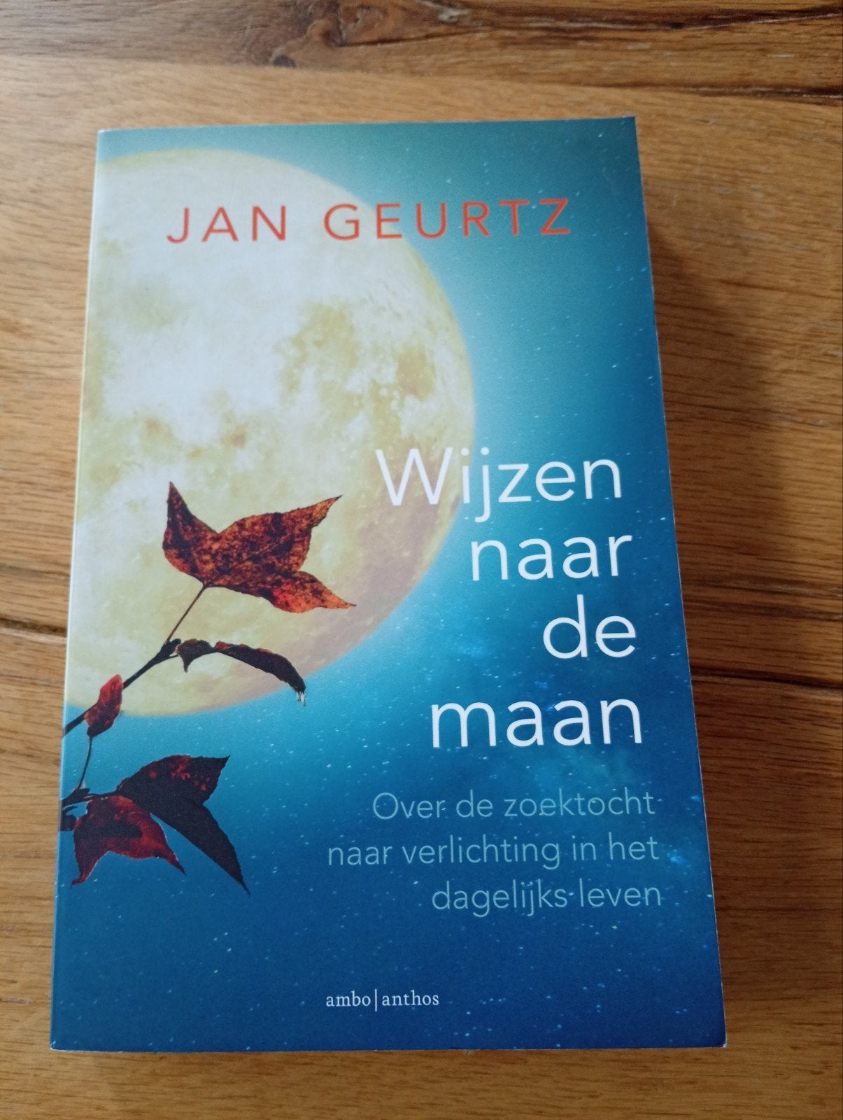 Wijzen naar de maan - Jan Geurtz (Zo goed als nieuw), Boeken, Achtergrond en Informatie, Spiritualiteit algemeen, Ophalen of Verzenden