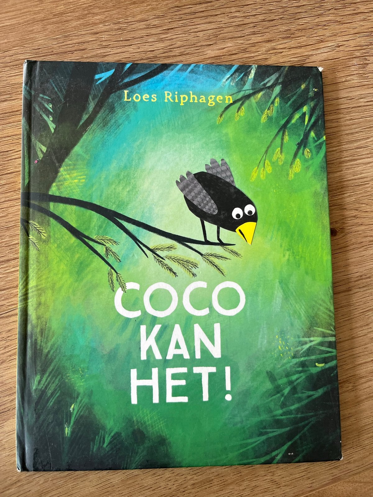 Coco Kan Het! - Loes Riphagen (Kinderboek), Boeken, Ophalen, Zo goed als nieuw, Sprookjes