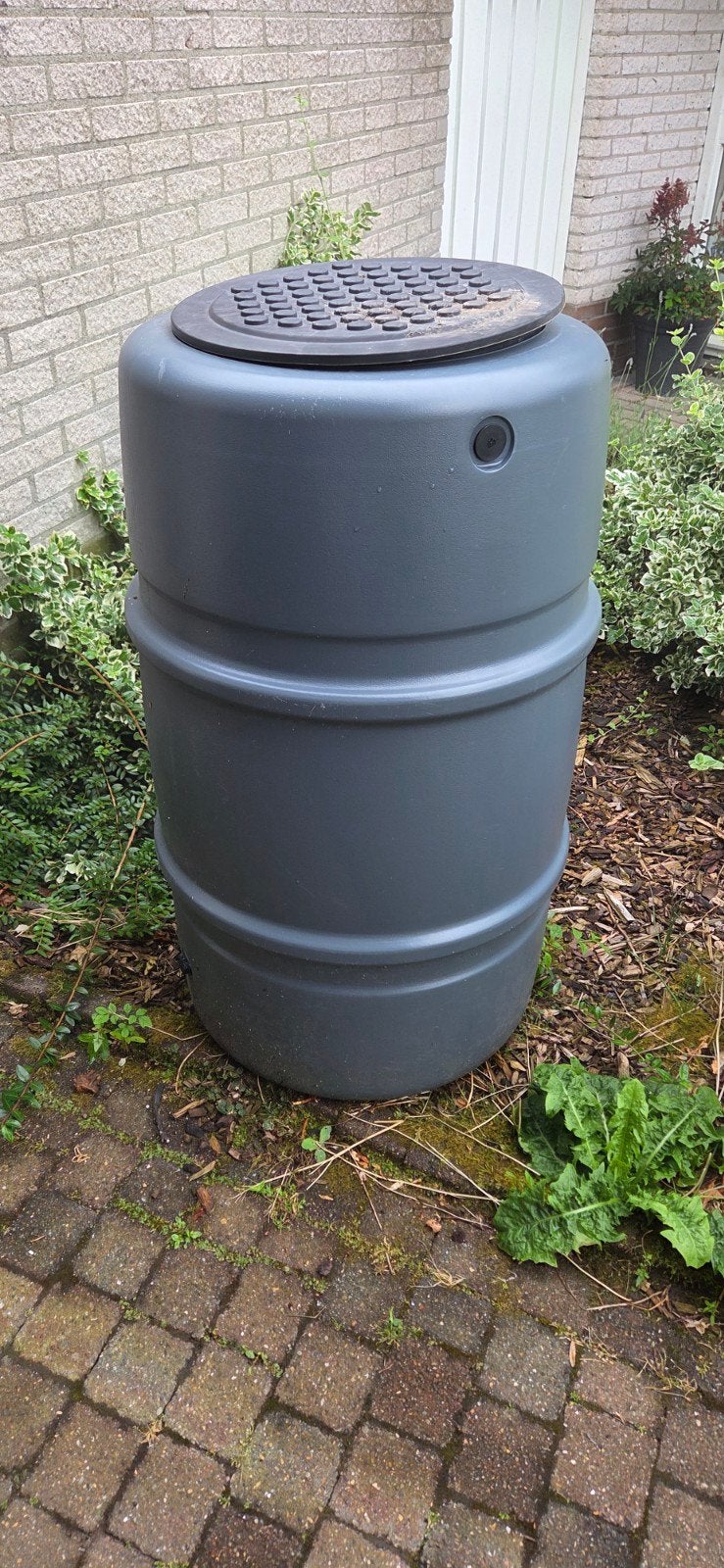Nieuwe regenton, nog niet gebruikt, Ophalen, Kunststof, Met kraantje, 150 liter of meer