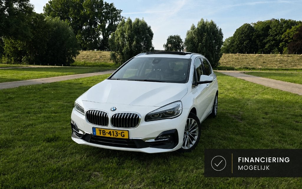 BMW 216D Full opt, BTW, Pano, Trekhaak, Leer, Dealer OH, LED, 116 pk, Bedrijf, Diesel, 3 cilinders