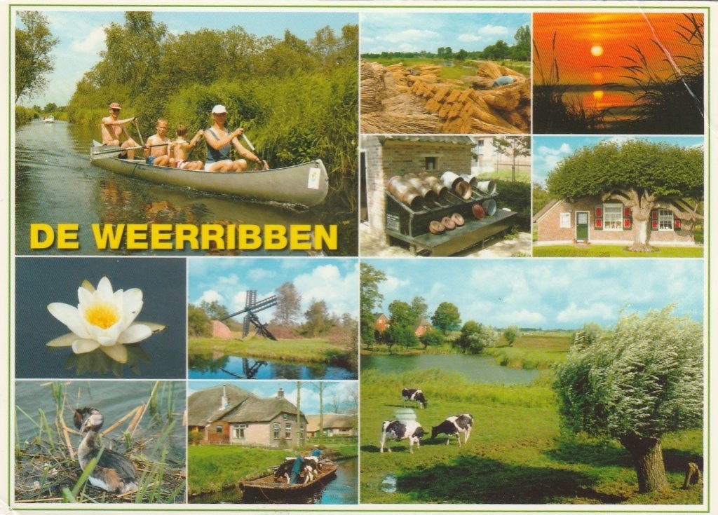 DE WEERRIBBEN Kano Oogst  Melkbussen Koeien, Verzenden, 1980 tot heden, Gelopen, Overijssel